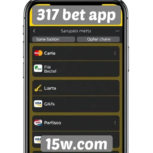 Métodos de pagamento oferecidos no 317 bet app